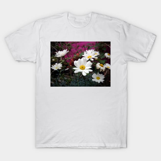 Marguerite T-Shirt by Gourmetkater